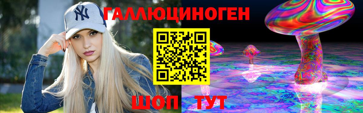 Галлюциногенные грибы GOLDEN TEACHER Карачаевск